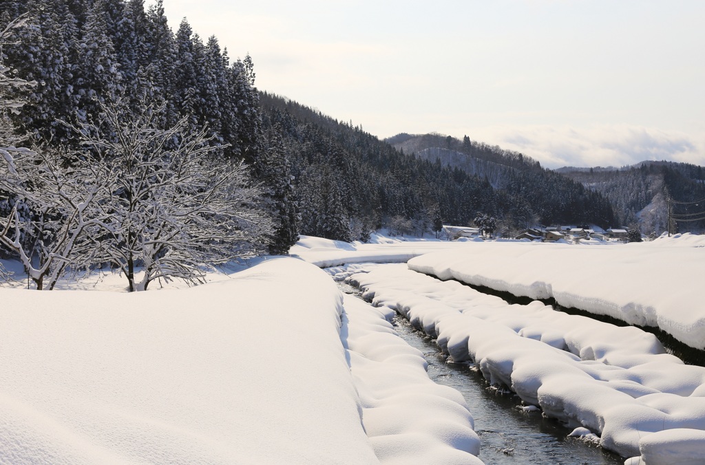 雪国に春が来て