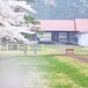 農場に春が来て ～花曇の牛舎～