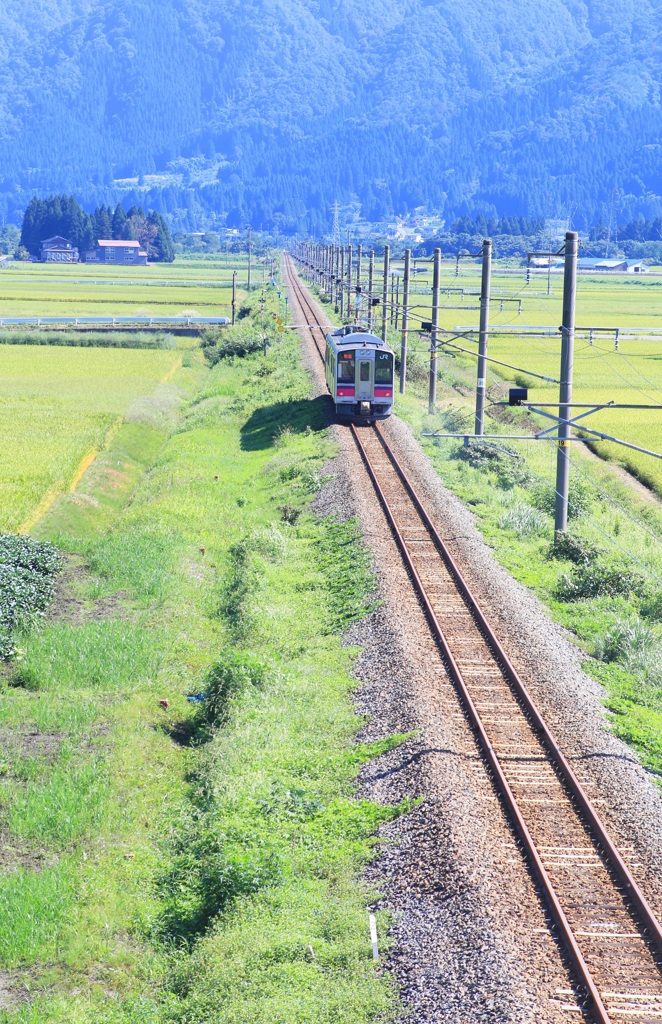 ローカル列車がゆく♪