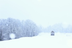 雪国メルヘン