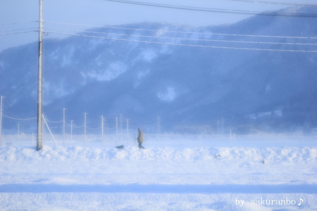 雪の朝