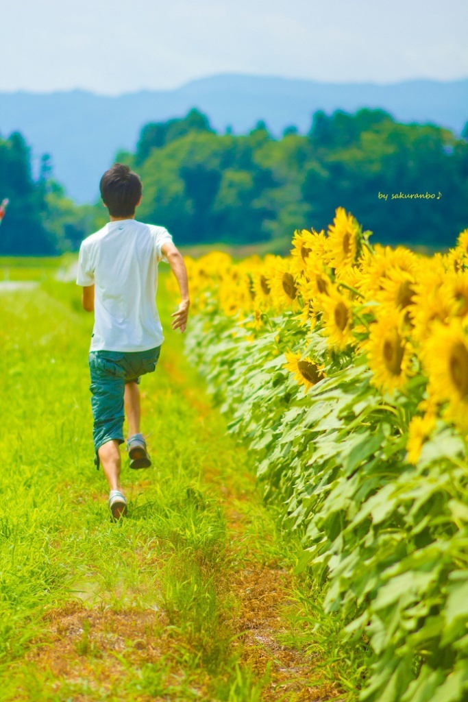 夏をかける少年