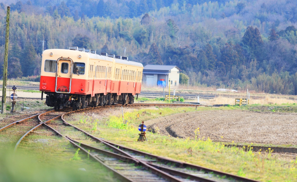 春が待ち遠しい ～早春の小湊鉄道～