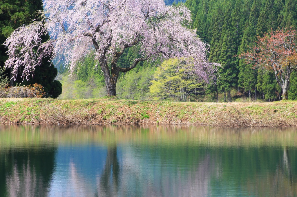 エメラルドの水鏡