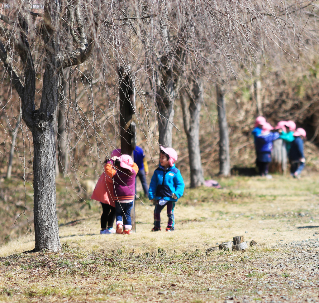 桜の木の下で
