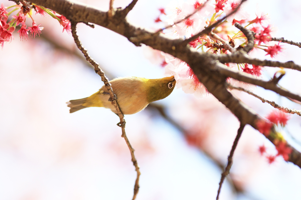 ごっくん♪