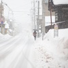 雪の降る日に