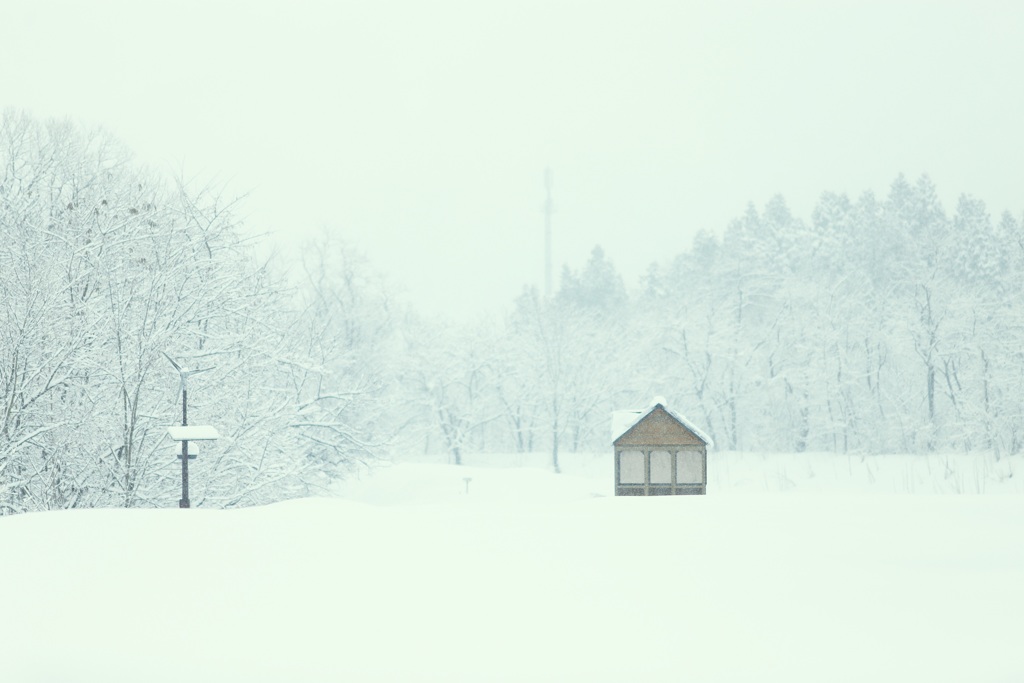 粉雪メルヘン