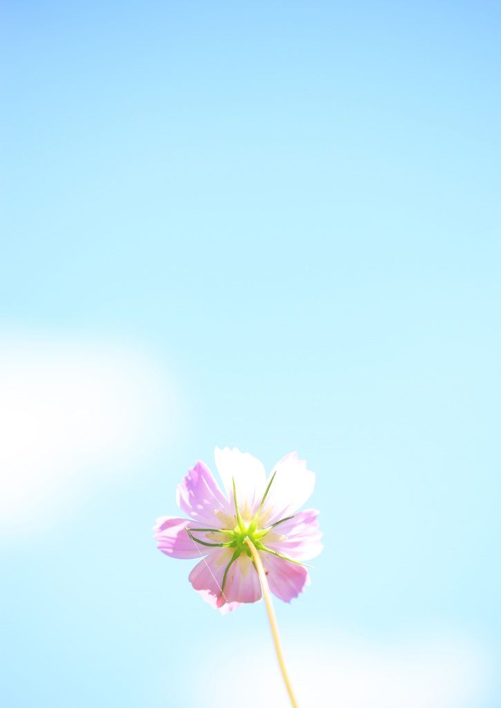 空さん、あのね