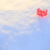 雪のステージ