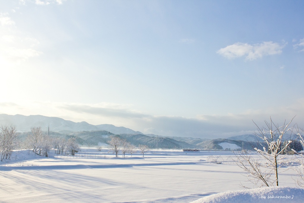 夢をのせて～雪国列車がゆく♪