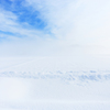 はるかな雪原