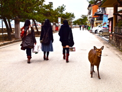 鹿と街と人人人