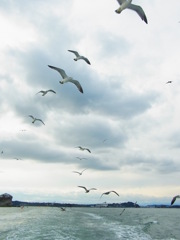 海と、空の間