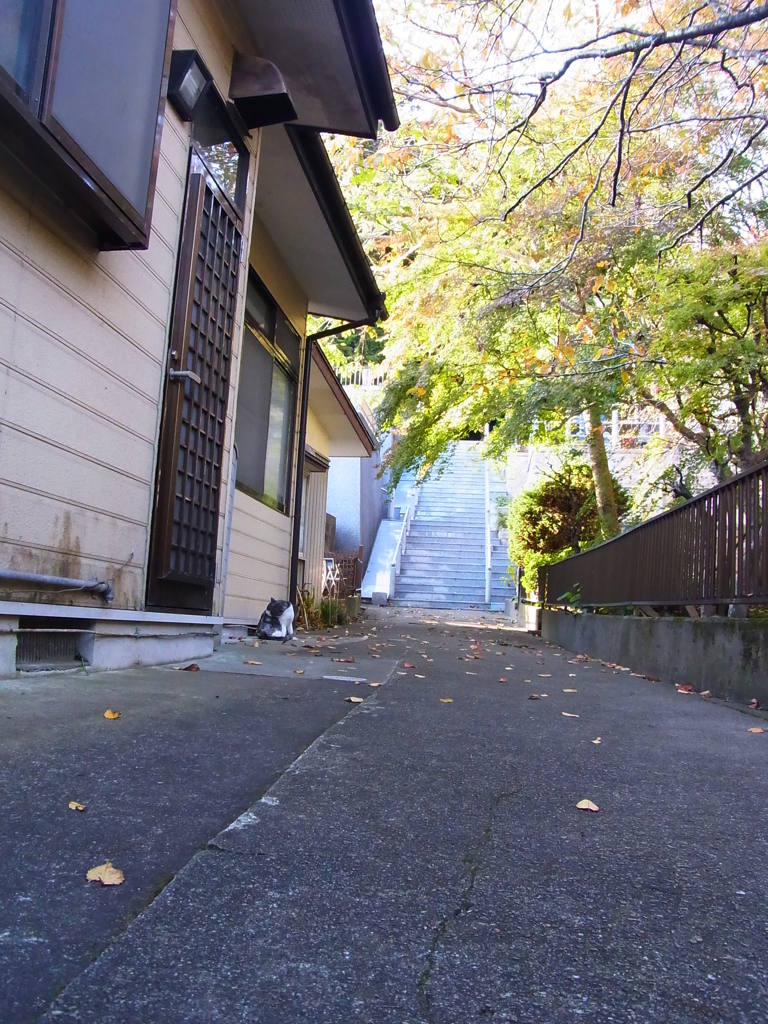 路地の向こうに