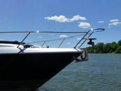 Cruiser