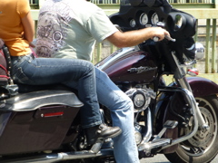 Harley Davidson ワイルドだろ～