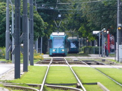 フランクフルトの路面電車