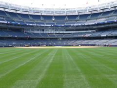 Yankee Stadium
