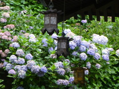 長谷寺