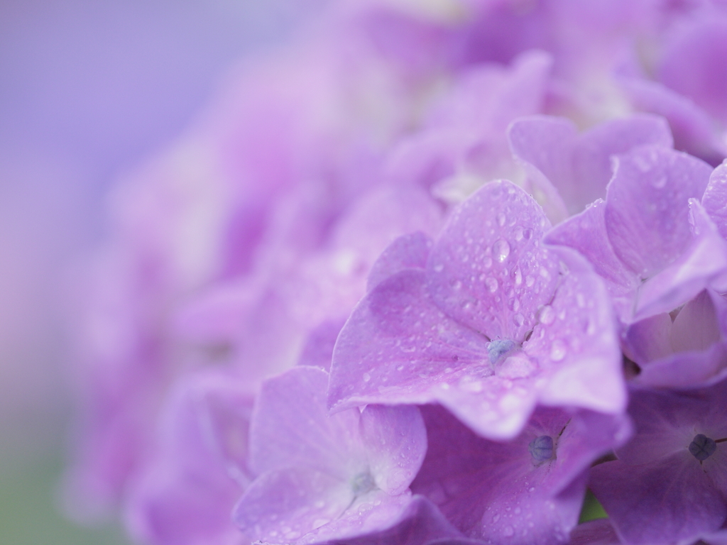 雨が止んだら