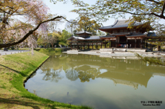 平等院鳳凰堂