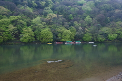 嵐山風景