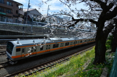 お花見日和
