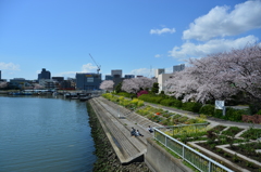 憩いのひととき