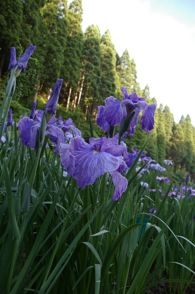 天まで