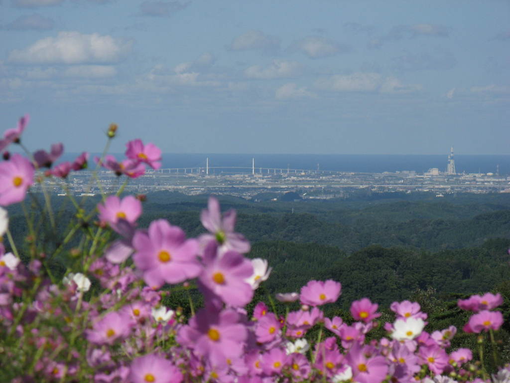 橋