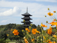 秋の備中国分寺