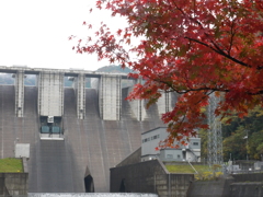 紅葉 ～ 苫田ダム