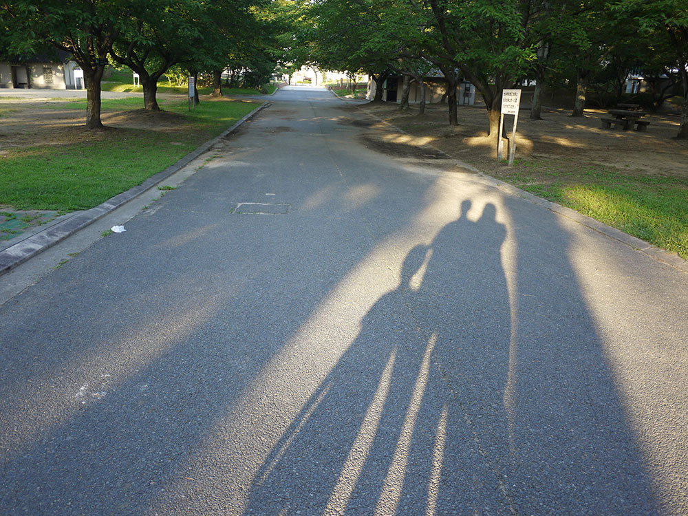 おうちへ帰ろう