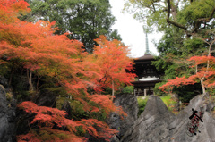 石山寺 多宝塔