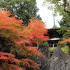 石山寺 多宝塔