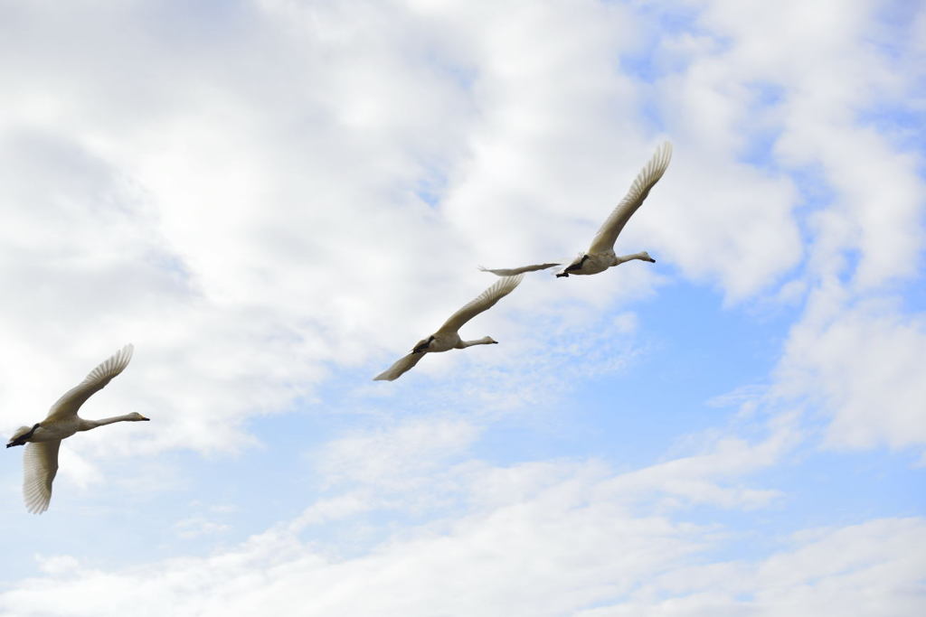 空へ