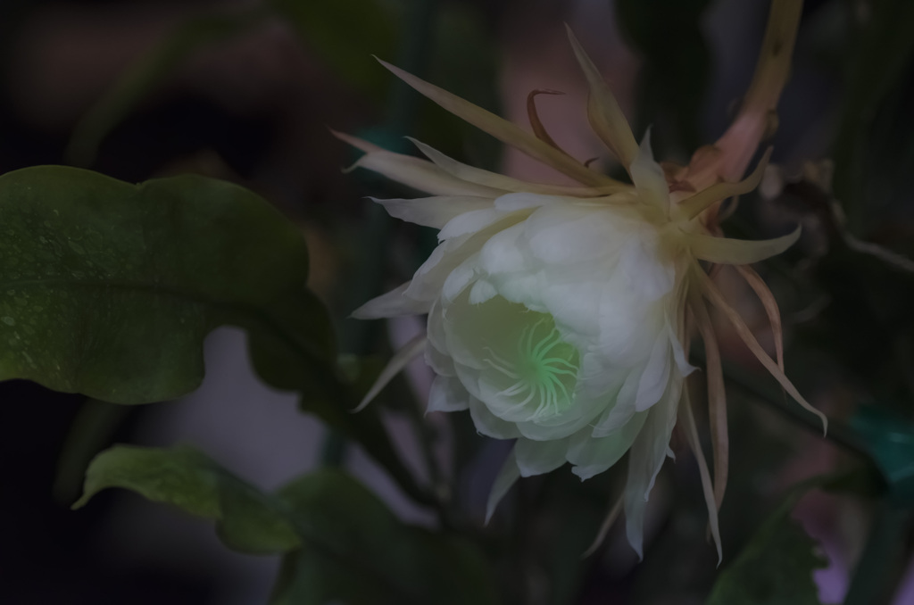 エネルギー充電中・・・・・
