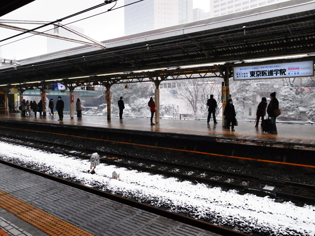 大雪の東京2014