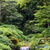 雨上がり