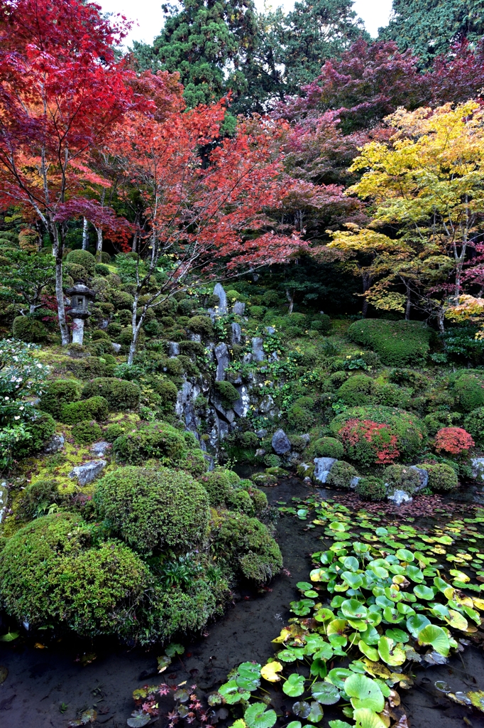 庭園