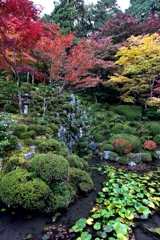 庭園