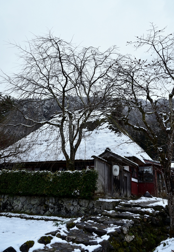 雪景色