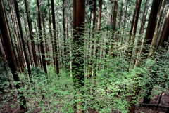 近くの山にトレッキング