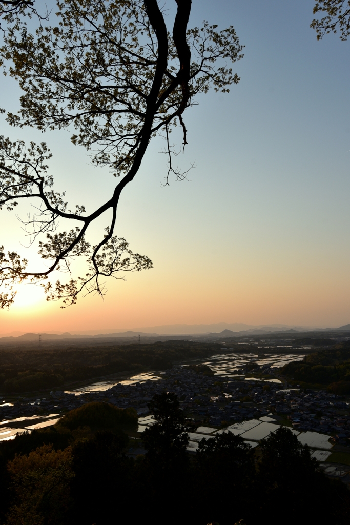 夕暮れ時（縦）