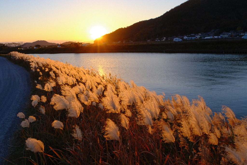 夕暮れ時