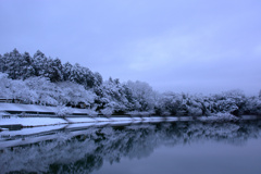 雪景色