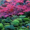 秋色に染まる