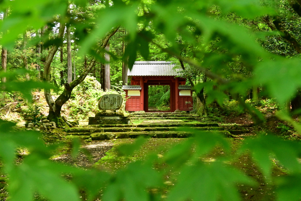 湖北を満喫（百済寺）