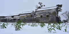 雪化粧